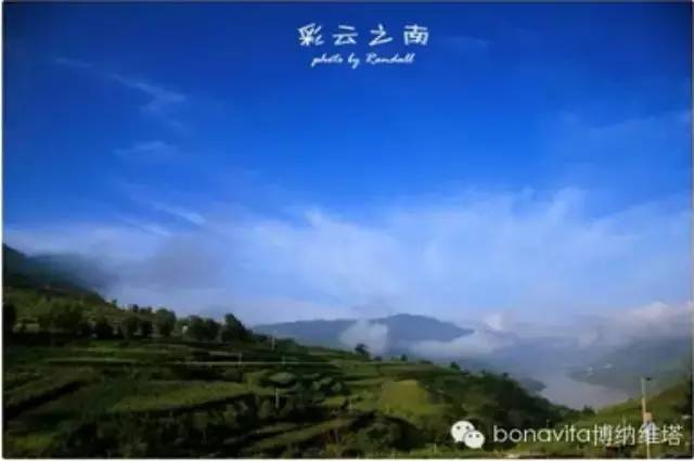 云南普洱“醉”美手沖咖啡大賽——由種子到杯子的升華