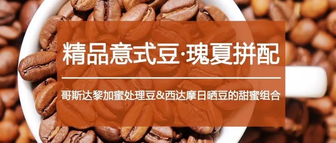 瑰夏意式拼配 元搶購(gòu)>做冷萃也好喝