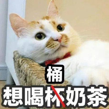 年輕人炫的奶茶，按“桶”算！