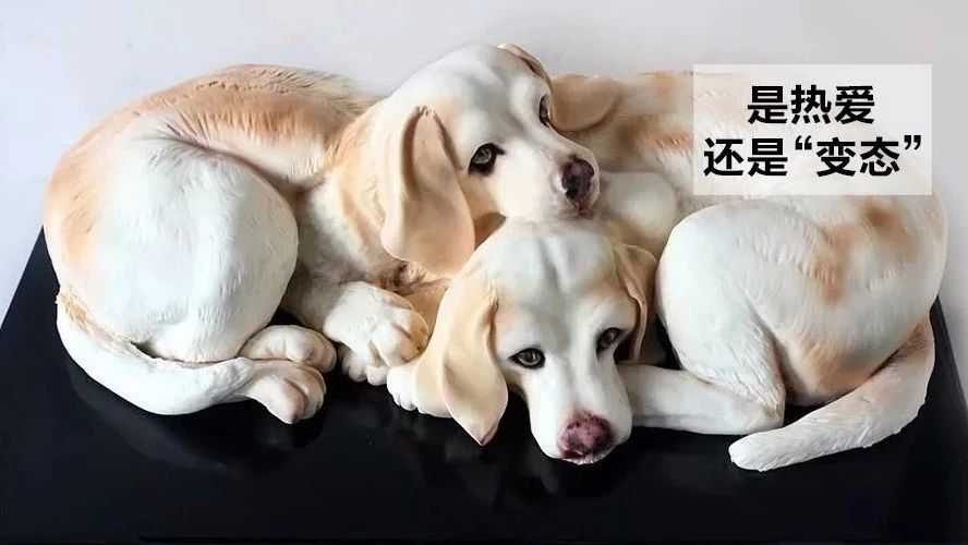 蛋糕做得太逼真，她被罵“變態(tài)”，一刀切下去，網(wǎng)友：你這是在虐待動物！