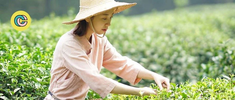 后小姐姐隱居靈隱種茶/做木工/開民宿...熱愛生活的人，都有一顆可愛的靈魂
