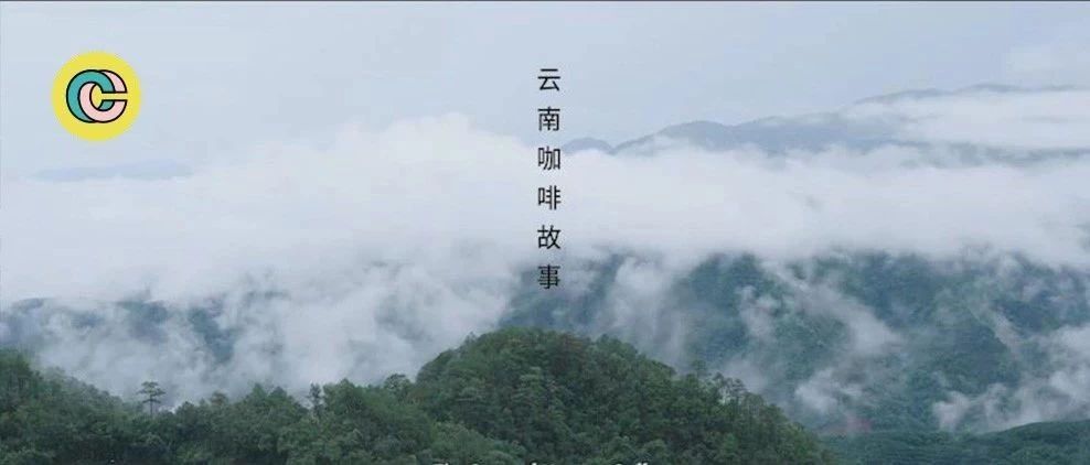 這樣的咖啡紀(jì)錄片，必然感動無數(shù)中國人